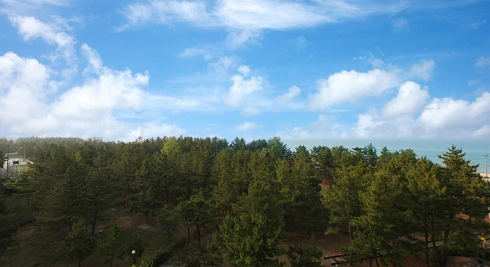 Jumunjin Resort Gangneung Dış mekan fotoğraf